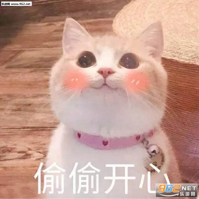 q����qʲô��˼�����