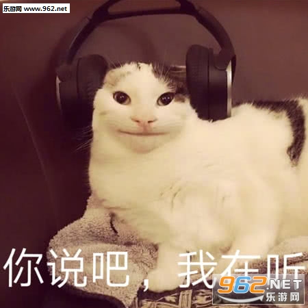 q����qʲô��˼�����