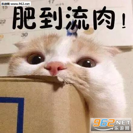 q����qʲô��˼�����