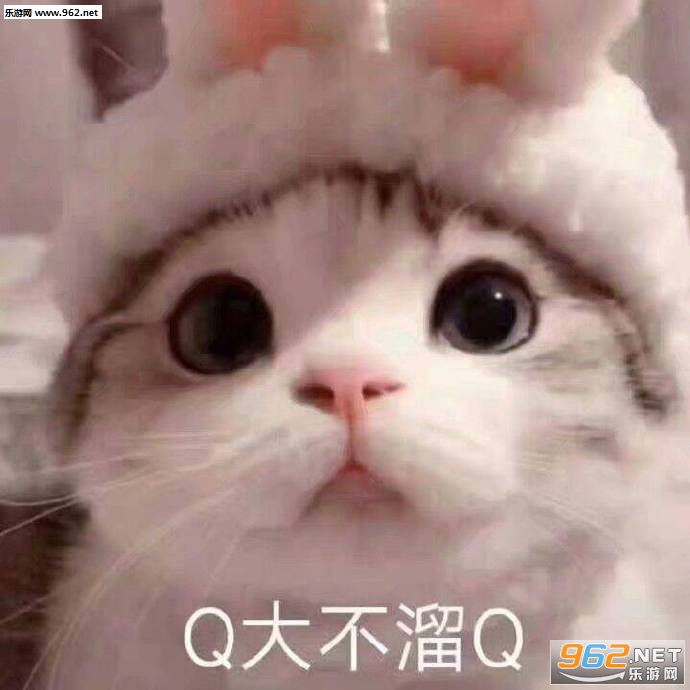 q����qʲô��˼�����