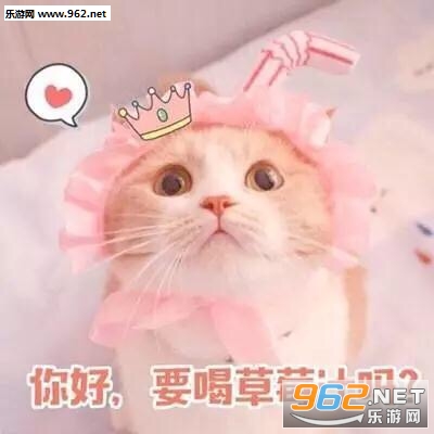���������ޱ����