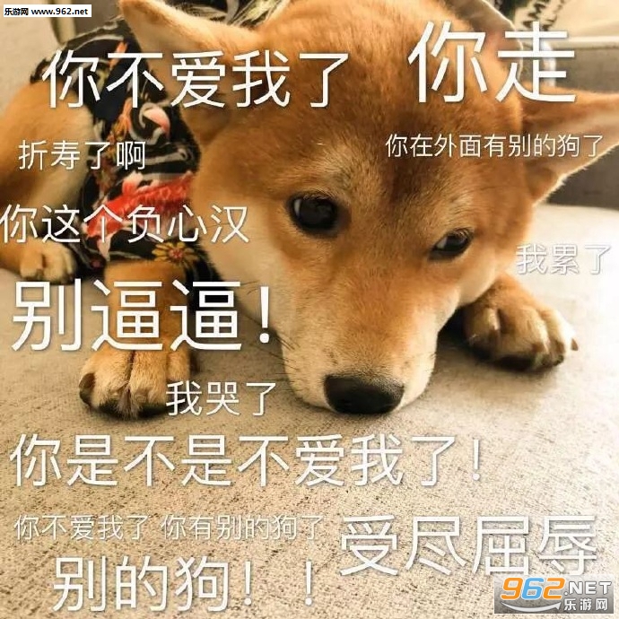 ���������ޱ����
