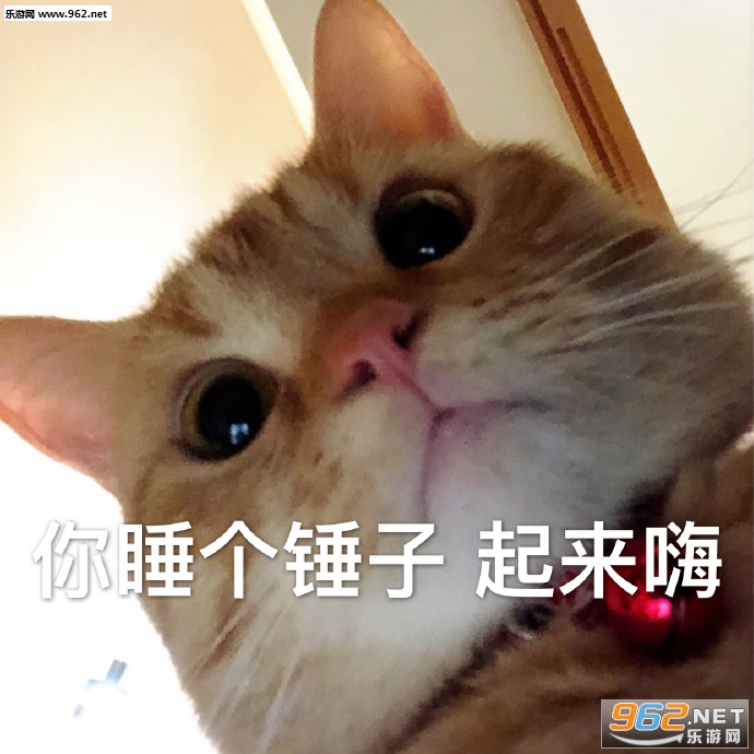 ��battle�������