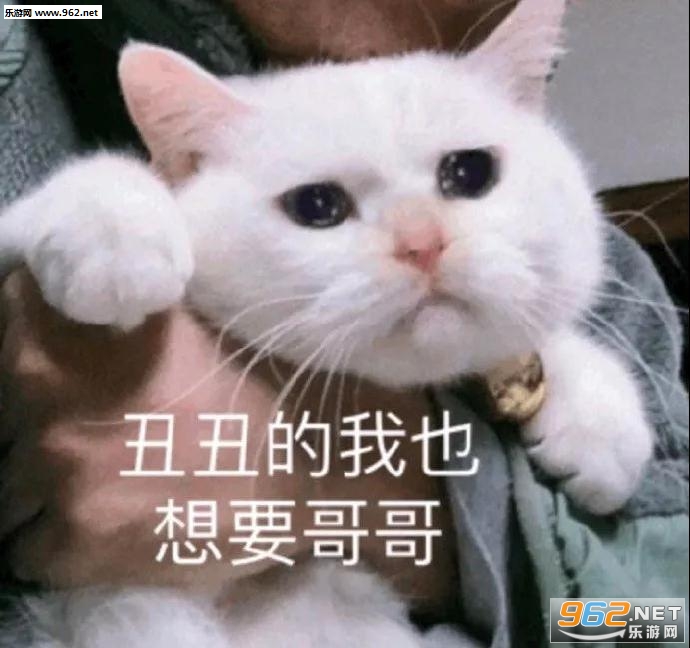 ���������ʲô���ر����