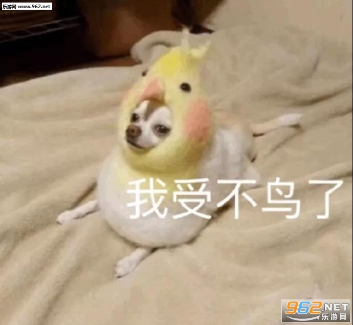 ���������ʲô���ر����