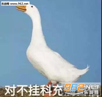 ���������ʲô���ر����
