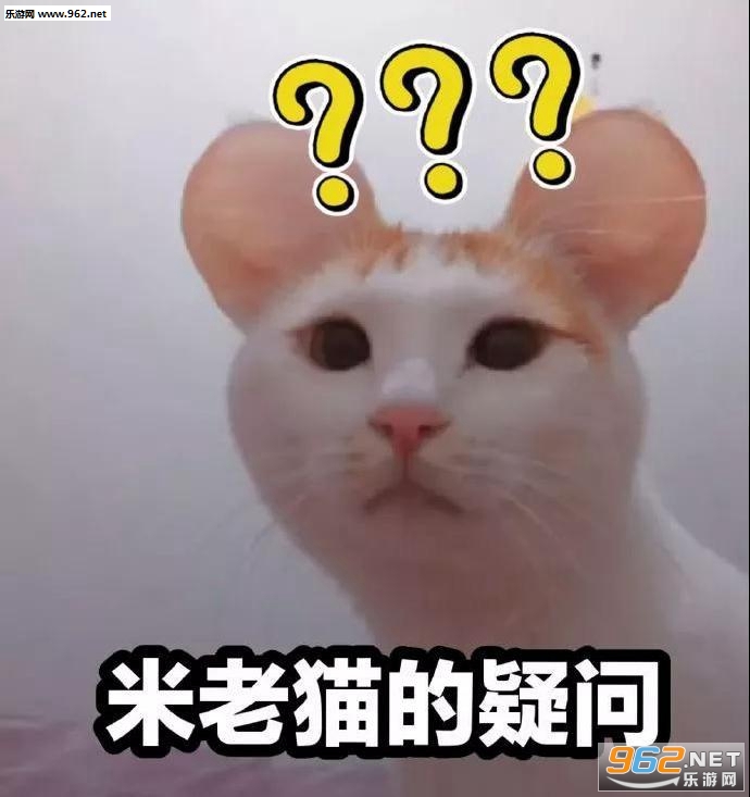 ���������ʲô���ر����