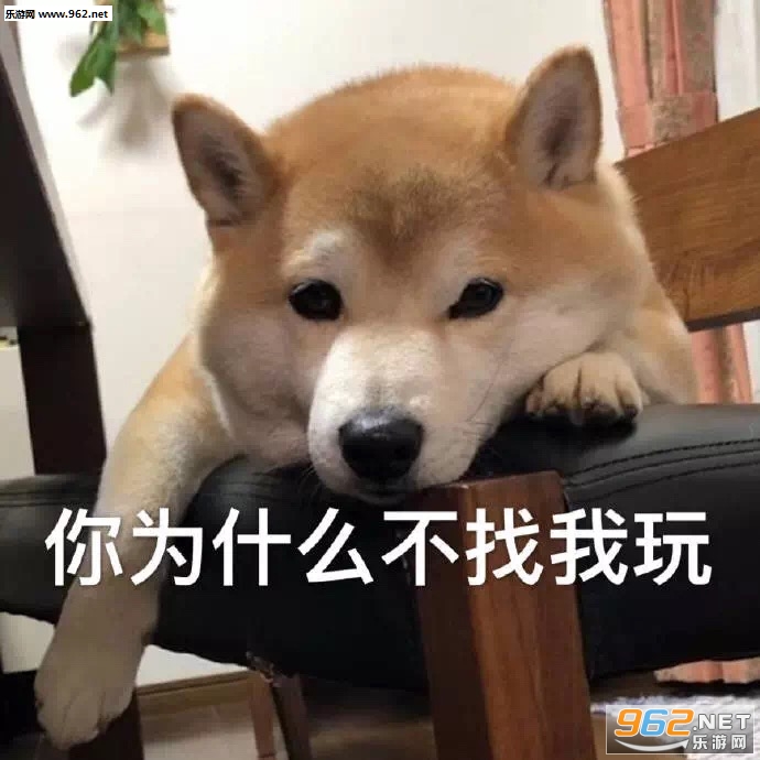���������㲨�����