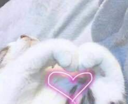 èצ����ͼƬ�����