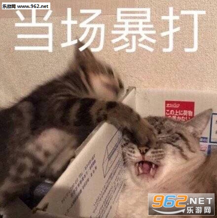 �������Ի�úܿ���ƫƫҪѧ����̸����ŵ���Ǳ����