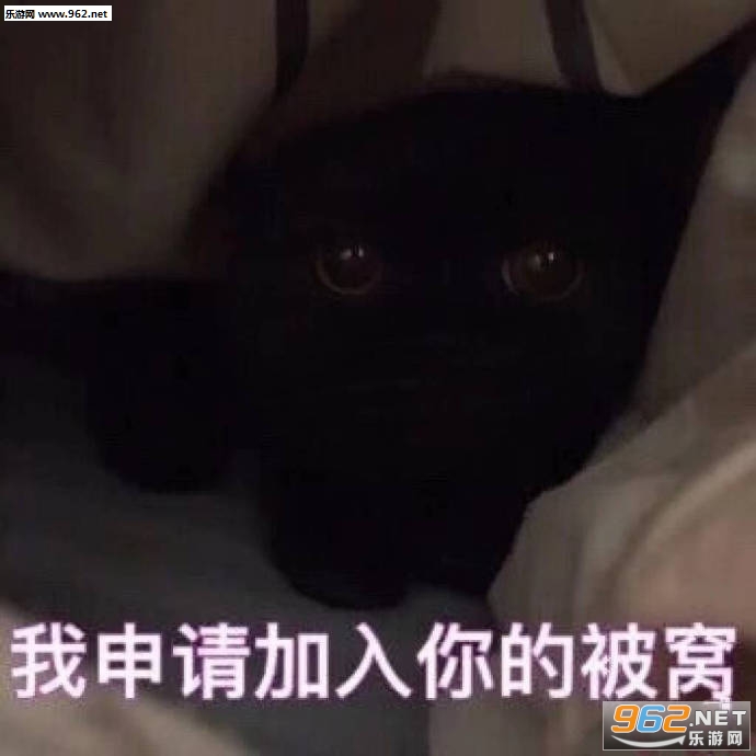�����������ı��ѱ����