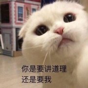 ���и�ȱ�����ȱ������·�����