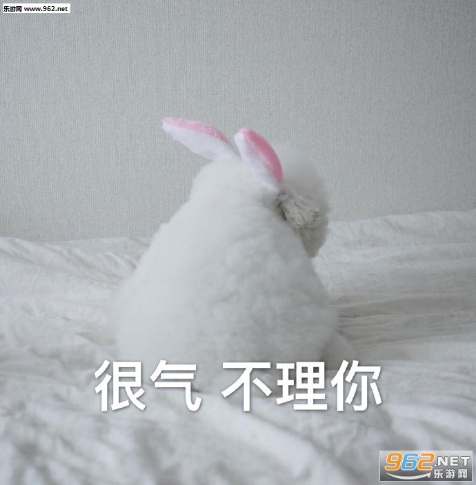 ��Ĺ��ﻨ���������