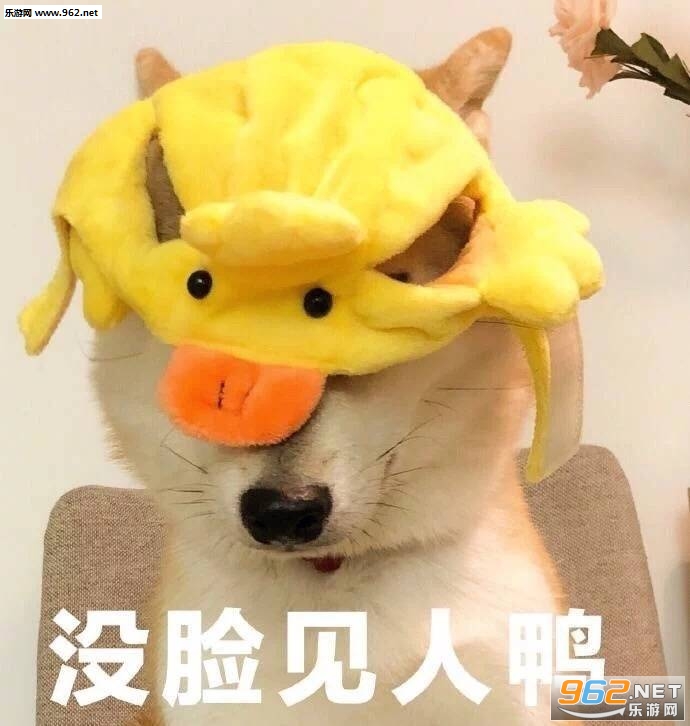 �������ʲô���ر����ͼƬ