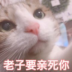 �ȴ�������������ͼƬ