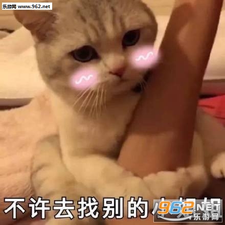 �ұ��������װɱ����
