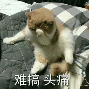 ���İ��Ĺ���������������ͼƬ��ͼ7