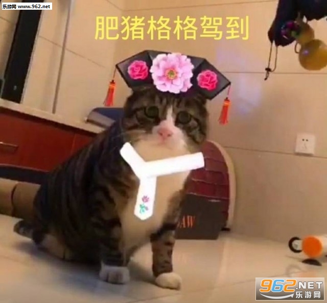 �Ƕʼɵ�ζ�������ͼƬ��ͼ3