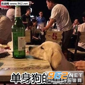 ������Ь�����ͼƬ��ͼ7