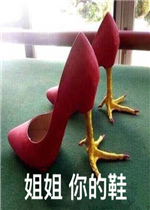 ������Ь�����ͼƬ