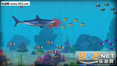 �޳����������׿���ͼ6