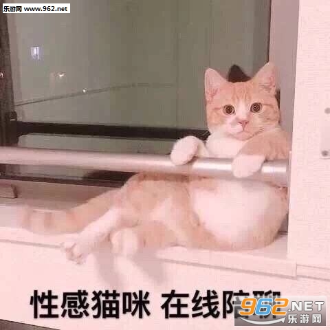 ������ô��������ͼ7