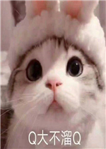 q����qʲô��˼�����