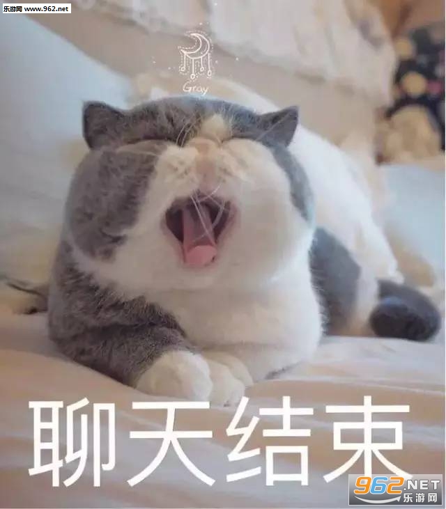 q����qʲô��˼�������ͼ3