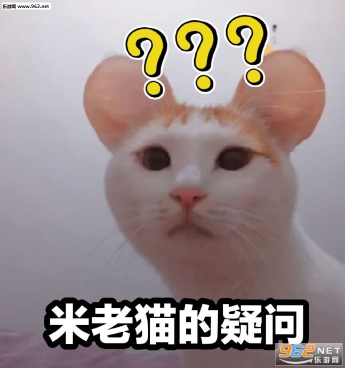 q����qʲô��˼�������ͼ5