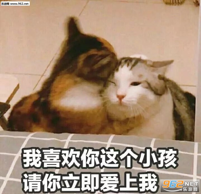 ���������ޱ������ͼ2