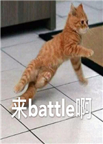 ��battle�������