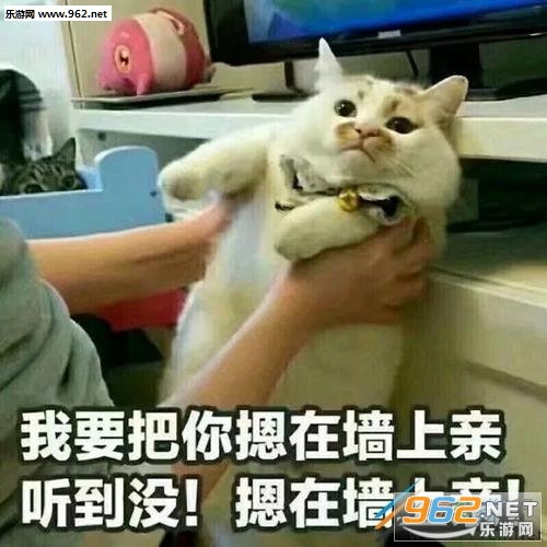 ��Ҫ��������ǽ���ױ������ͼ3