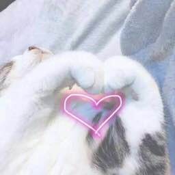 èצ���Ķ�����ͼ�������ͼ0