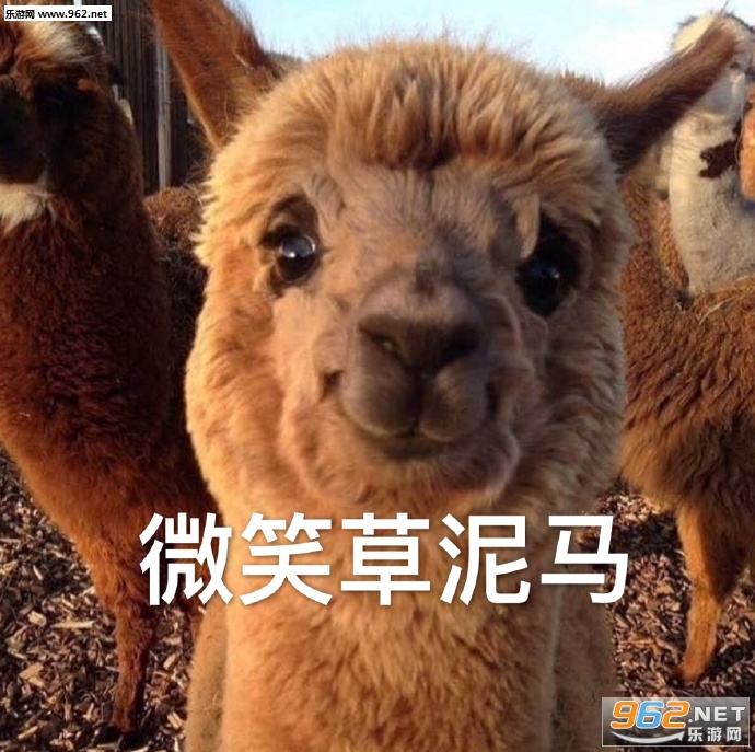 ��Ĺ��ﻨ�����������ͼ3