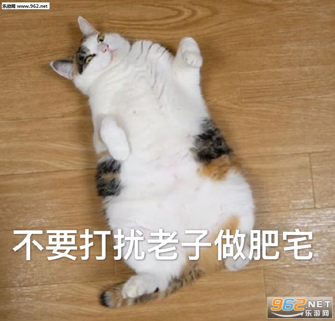 ��Ĺ��ﻨ�����������ͼ8