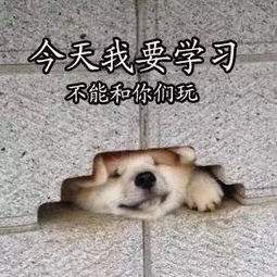 ѧϰʹ�ҿ���������һ��ϰ��ѧϰ�������ͼ1