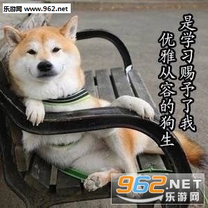 ѧϰʹ�ҿ���������һ��ϰ��ѧϰ�������ͼ0