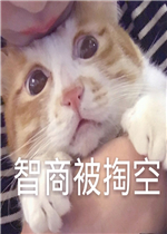 �����ް���ϳ������