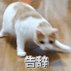��Ǳ������ͼ1