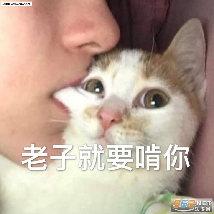 �ұ��������װɱ������ͼ0