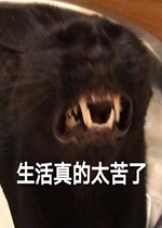 �������̫�����ź������