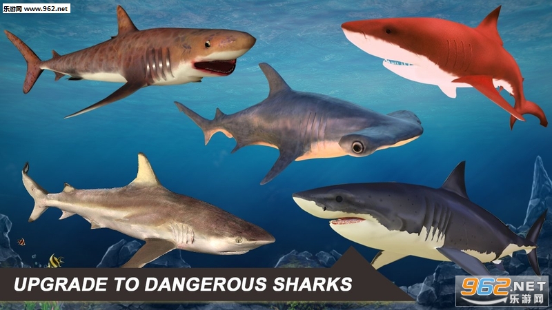 Shark Simulator 2018(鲨鱼模拟器2018官方版)截图3