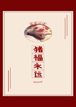 2019���������ֽ