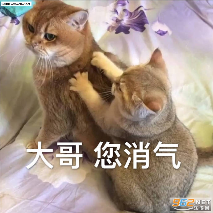 �����մ������������ͼƬ��ͼ6
