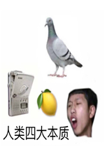 �����Ĵ��ʱ����