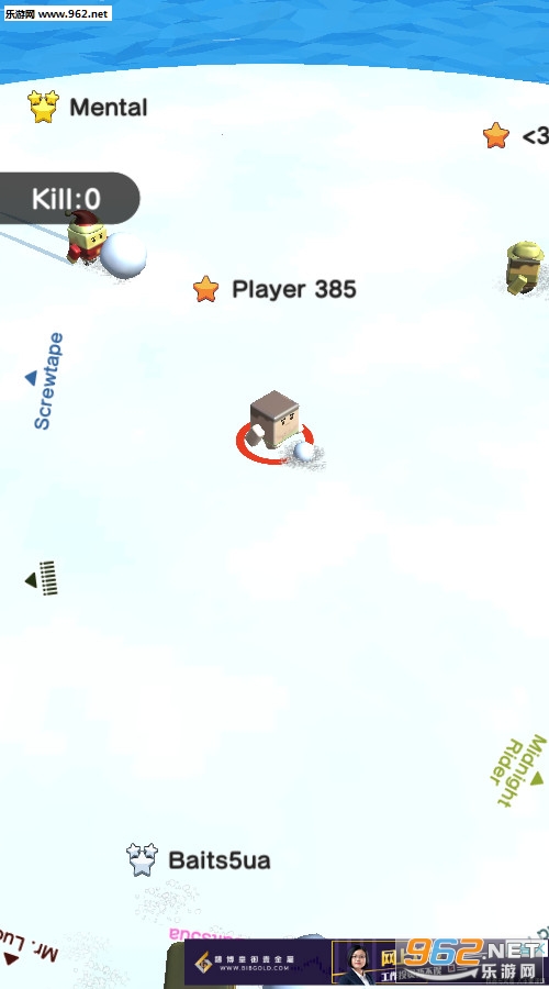 Ball Fight.io击球大作战安卓版截图1