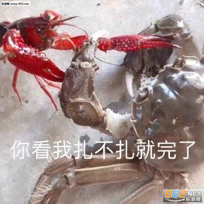 �㿴��������������˱����