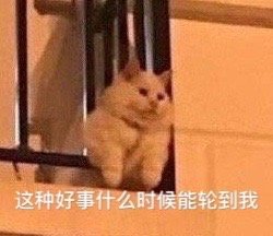 �㿴��������������˱����