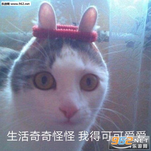 ����ɧ��˧������