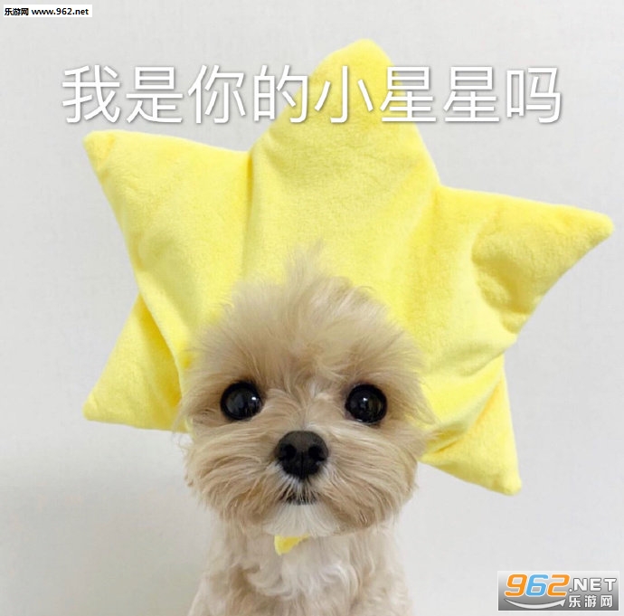 我小猫咪的心好痛表情包 我小猫咪的心好痛表情包